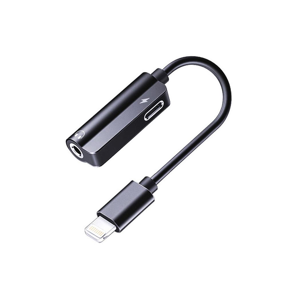 2-in-1 iPhone/Lightning Adapter